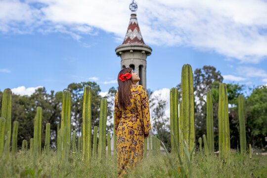 Tour image 7