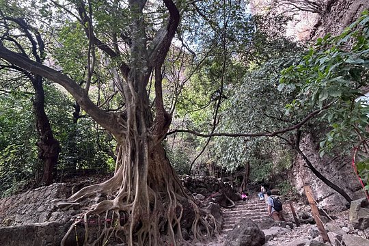 Tour image 6