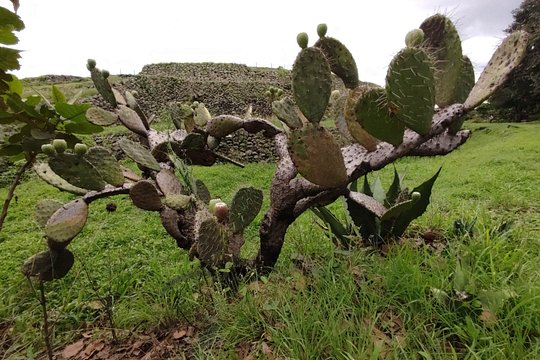 Tour image 7